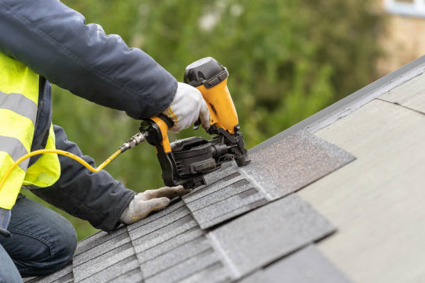 Best Solar Panel Roofing Installation  in Lumber City, GA