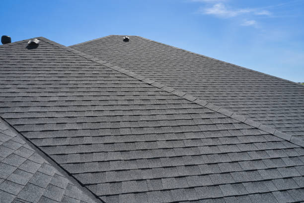 Best Roof Ventilation Installation  in Lumber City, GA