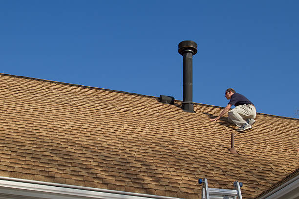 Best Roof Maintenance and Cleaning  in Lumber City, GA